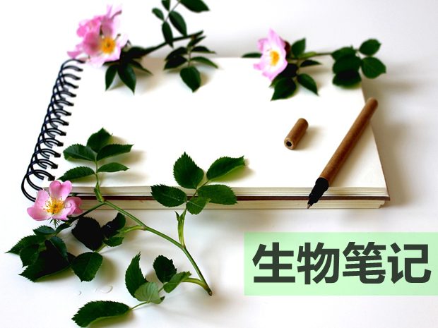 如何整理高中生物復(fù)習(xí)筆記？