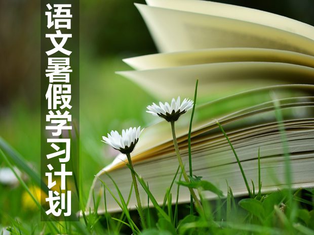 初中語(yǔ)文暑假學(xué)習(xí)計(jì)劃,暑假語(yǔ)文學(xué)習(xí)計(jì)劃怎么寫(xiě)