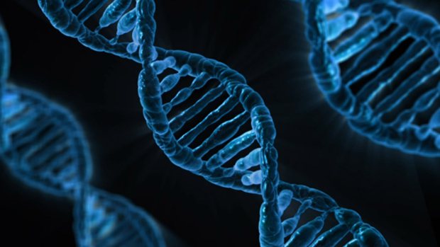 高三生物一輪復(fù)習(xí)計(jì)劃,生物一輪復(fù)習(xí)秘訣