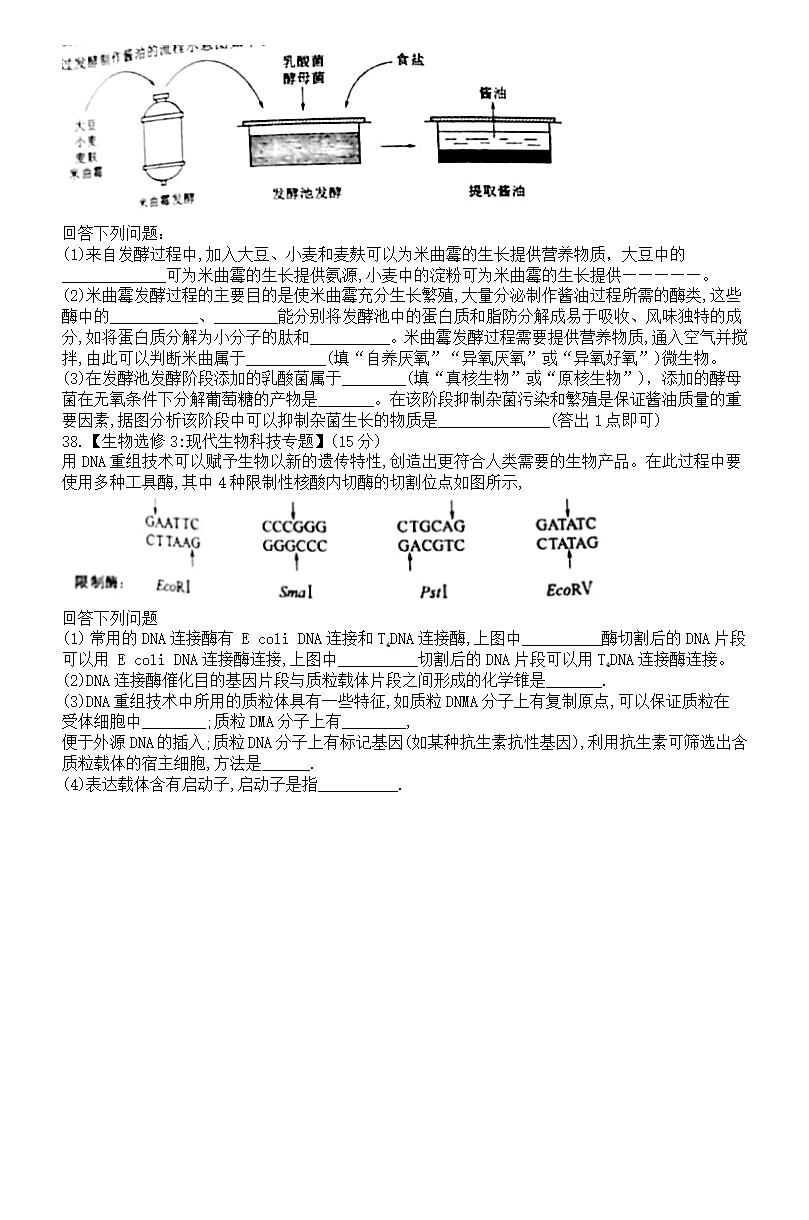 2021年高考理綜試卷及答案,理科綜合試題答案解析
