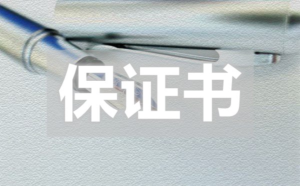 給老婆大人的保證書,給老婆大人的保證書怎么寫
