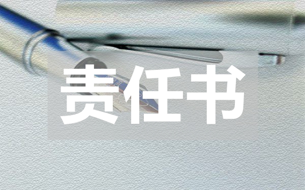 公司業(yè)績的考核責(zé)任書,公司業(yè)績的考核責(zé)任書范文