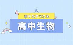 如何打好高中生物的基礎_高中生物學習方法總結