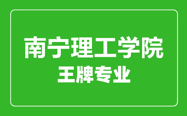 南寧理工學(xué)院王牌專業(yè)有哪些,南寧理工學(xué)院最好的專業(yè)是什么