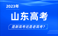 <b>2023年山東高考分文理科嗎_是新高考還是老高考？</b>