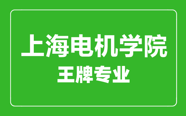 上海電機(jī)學(xué)院王牌專業(yè)有哪些,上海電機(jī)學(xué)院最好的專業(yè)是什么