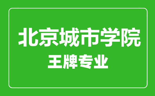 北京城市學院王牌專業(yè)有哪些,北京城市學院最好的專業(yè)是什么