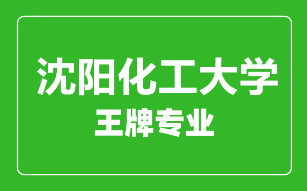沈陽化工大學王牌專業(yè)有哪些,某某最好的專業(yè)是什么