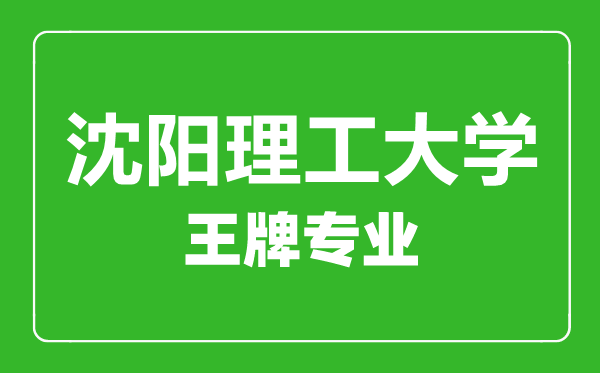 沈陽理工大學(xué)王牌專業(yè)有哪些,沈陽理工大學(xué)最好的專業(yè)是什么