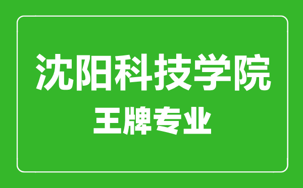 沈陽(yáng)科技學(xué)院王牌專(zhuān)業(yè)有哪些,沈陽(yáng)科技學(xué)院最好的專(zhuān)業(yè)是什么