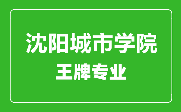 沈陽城市學(xué)院王牌專業(yè)有哪些,沈陽城市學(xué)院最好的專業(yè)是什么