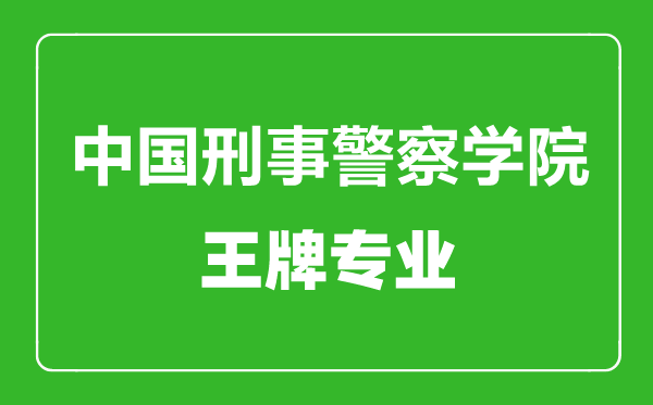 中國刑事警察學(xué)院王牌專業(yè)有哪些,中國刑事警察學(xué)院最好的專業(yè)是什么