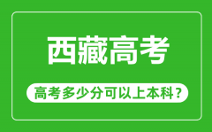 西藏高考難度大嗎_西藏高考多少分可以上本科