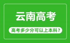 云南高考難嗎_云南高考多少分可以上本科?