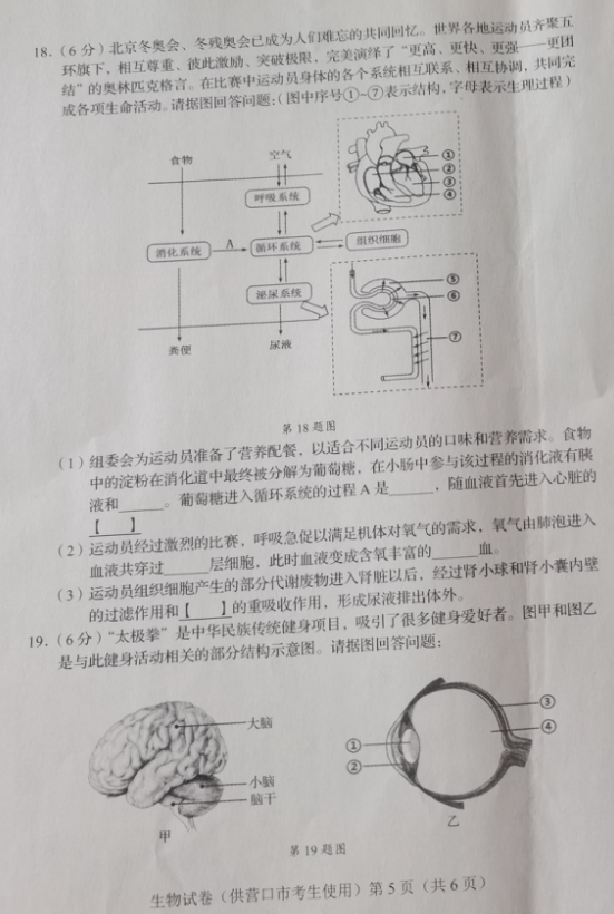 2023年?duì)I口市中考生物試卷真題及答案
