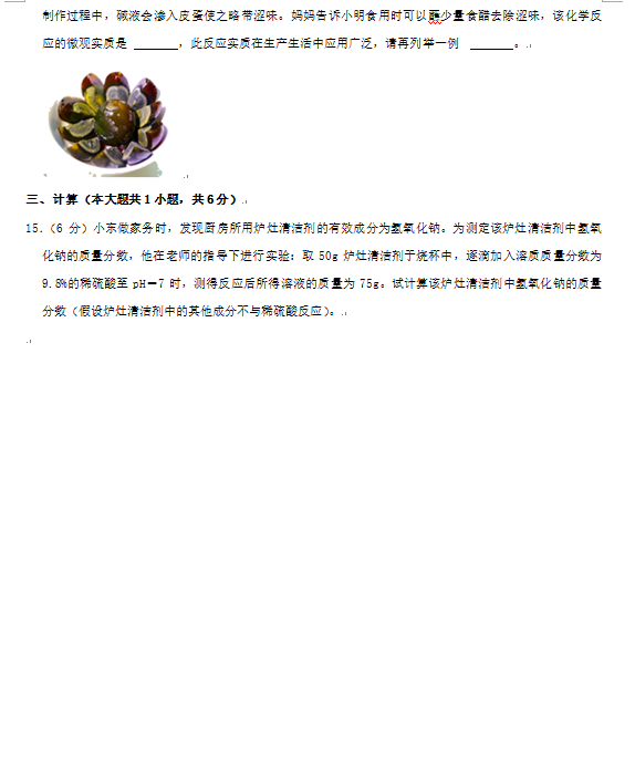 2023年威海市中考化學試卷真題及答案