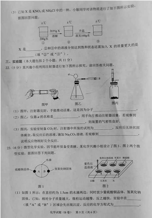 2023年重慶市中考語(yǔ)文試卷真題及答案