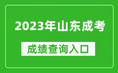 2023年山東成考成績查詢入口網址（https://www.sdzk.cn/）