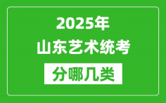 2025年山東藝術(shù)統(tǒng)考類型有哪幾種？