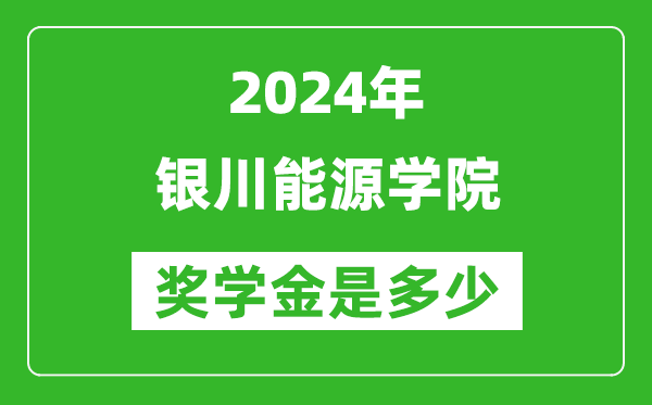 2024年銀川能源學(xué)院獎學(xué)金多少錢,覆蓋率是多少？