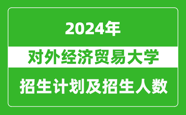 對外經濟貿易大學2024年在海南的招生計劃及招生人數