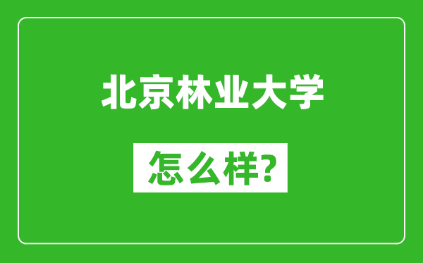 北京林業(yè)大學怎么樣好不好,值得報考嗎？