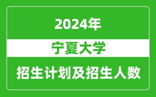 寧夏大學2024年在廣東的招生計劃及招生人數