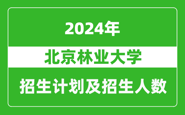 北京林業(yè)大學(xué)2024年在廣東的招生計(jì)劃及招生人數(shù)