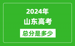 2024年山東高考總分是多少_山東高考各科目分值設置