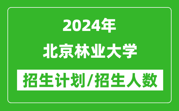 2024年北京林業(yè)大學(xué)各省招生計(jì)劃及各專(zhuān)業(yè)招生人數(shù)是多少