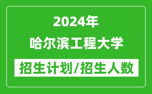 2024年哈爾濱工程大學(xué)各省招生計(jì)劃及各專業(yè)招生人數(shù)是多少