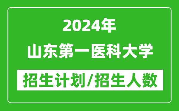 2024年山東第一醫(yī)科大學(xué)各省招生計劃及各專業(yè)招生人數(shù)是多少