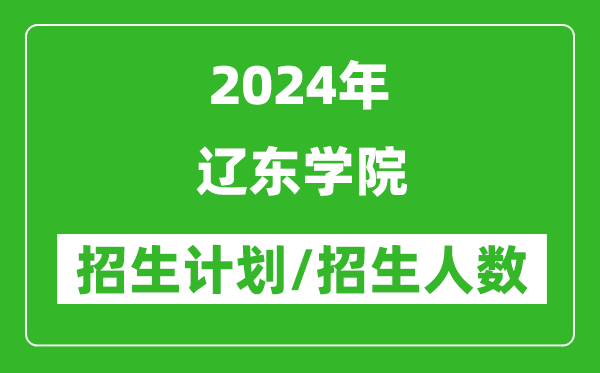 2024年遼東學(xué)院各省招生計劃及各專業(yè)招生人數(shù)是多少