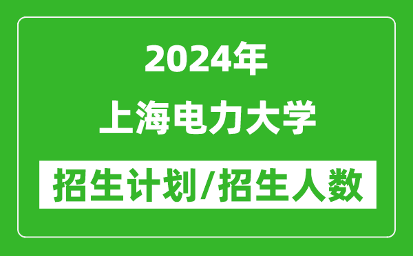 2024年上海電力大學(xué)各省招生計(jì)劃及各專業(yè)招生人數(shù)是多少