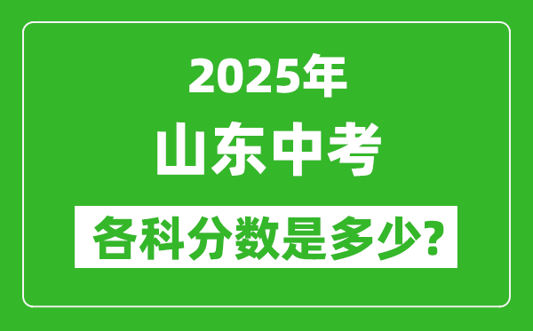 2025山東中考科目及各科分?jǐn)?shù)是多少？