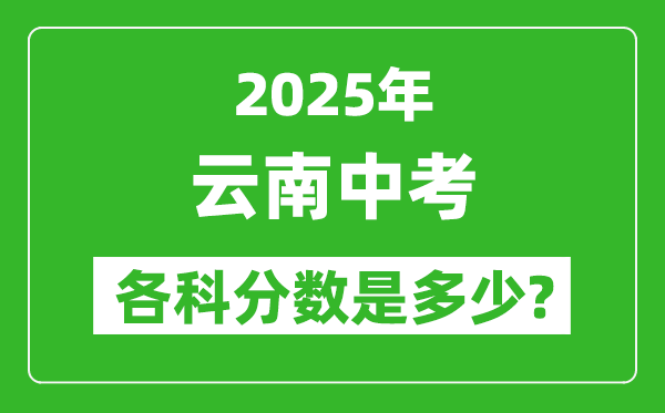 2025云南中考科目及各科分?jǐn)?shù)是多少？