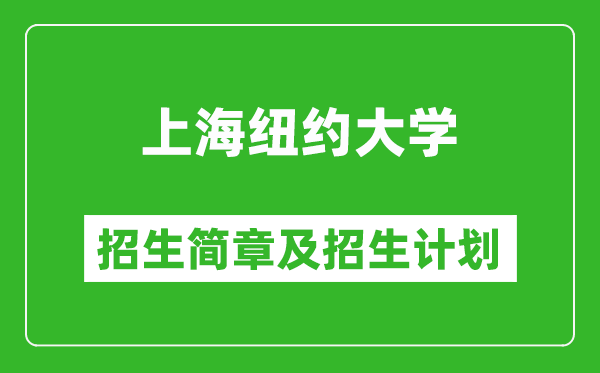 上海紐約大學2025年招生簡章,各省高考招生計劃人數一覽表