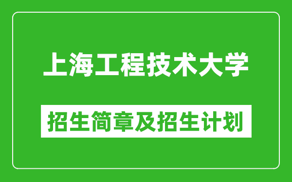 上海工程技術(shù)大學(xué)2025年招生簡章,各省高考招生計劃人數(shù)一覽表
