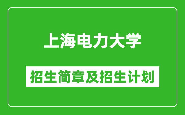 上海電力大學2025年招生簡章,各省高考招生計劃人數(shù)一覽表