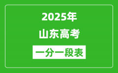 2025年山東高考一分一段表_夏季高考文化成績分段表