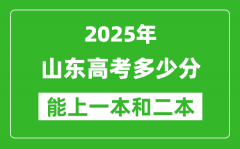 預(yù)計(jì)2025年山東高考多少能上一本和二本_錄取分?jǐn)?shù)線預(yù)測(cè)