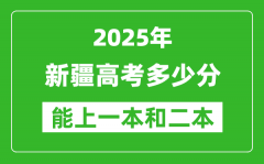預(yù)計(jì)2025年新疆高考多少能上一本和二本_錄取分?jǐn)?shù)線預(yù)測