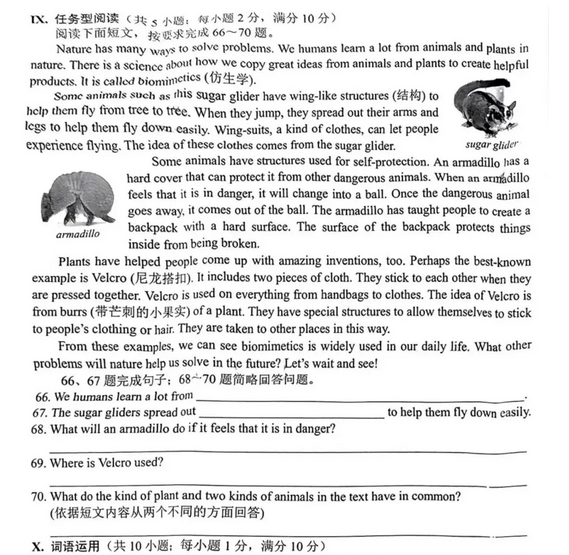 2025年河北中考英語(yǔ)試卷真題及答案解析