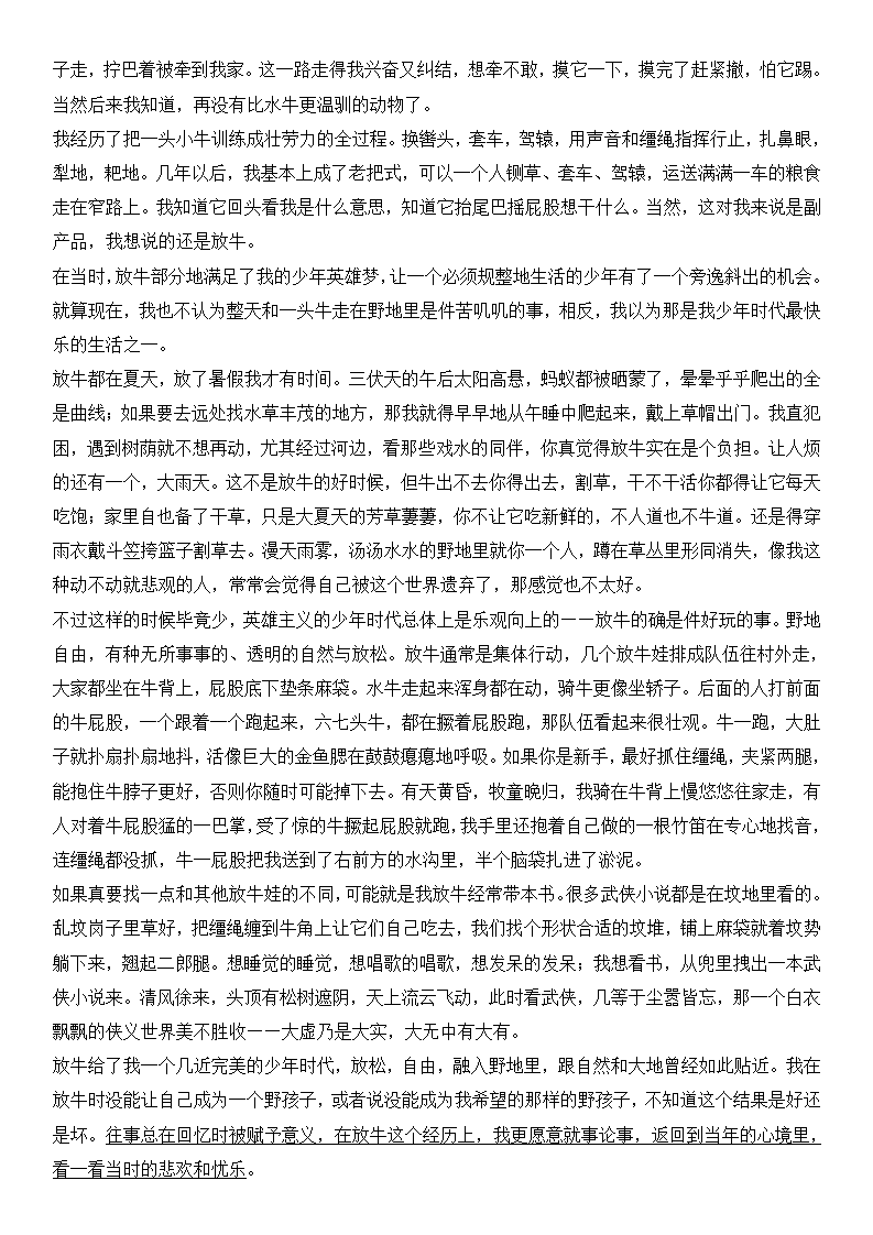 2025年新高考一卷語(yǔ)文試卷真題及答案解析(完整版)