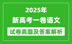 2025年新高考一卷語文試卷真題及答案解析(完整版)