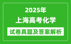 2025年上海高考化學(xué)試卷真題及答案解析(完整版)