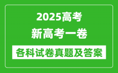 2025新高考一卷各科試卷真題及答案(語文、數(shù)學、英語)
