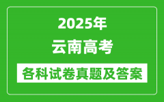 2025云南高考各科試卷真題及答案(9科全)